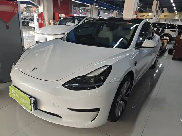 Tesla Model 3 2021 Facelift Standard Range RWD Upgrade 3D1