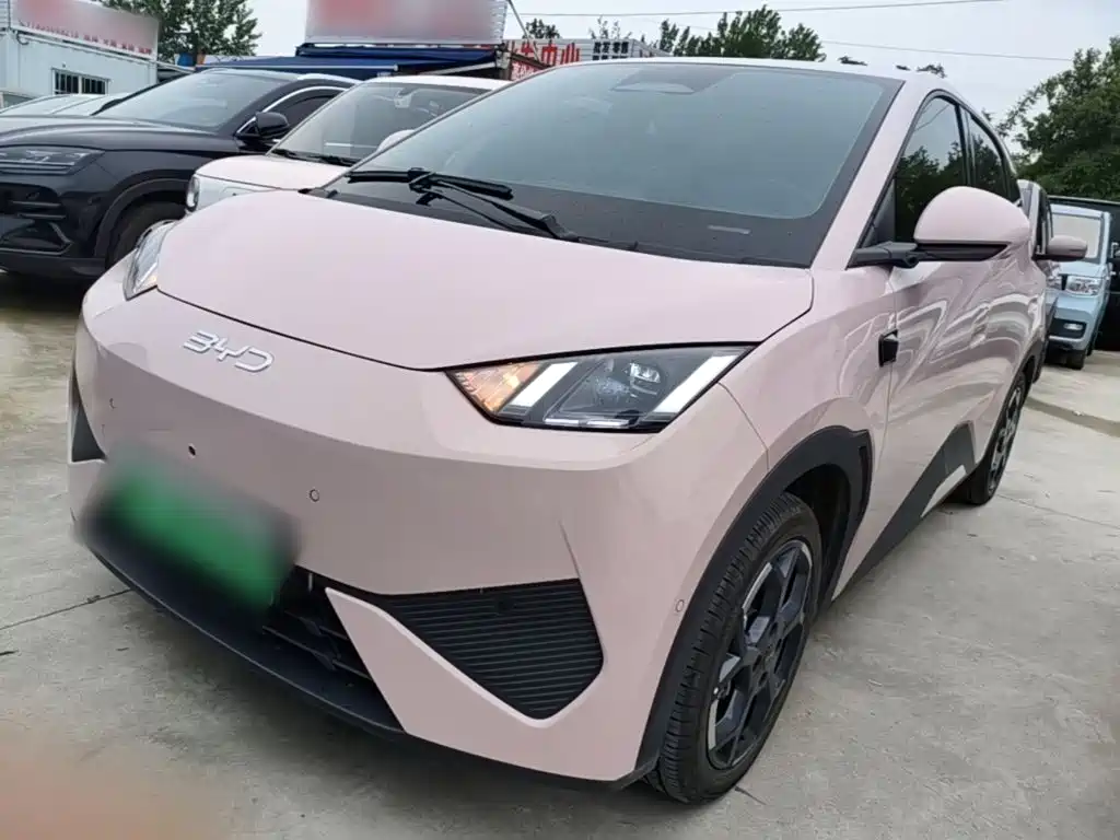 BYD Seagull 2025 Smart Drive Edition 305km Freedom Version