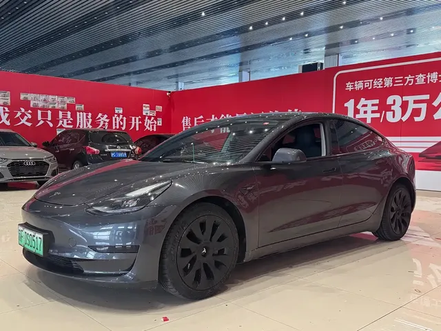 Tesla Model 3 2021 Standard Range Rear-Wheel Drive Upgrade