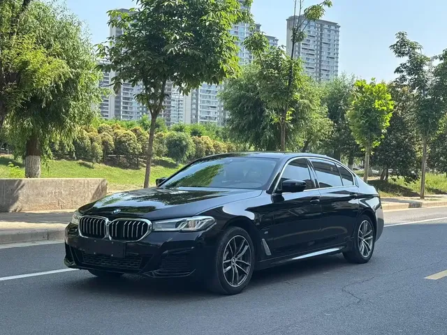 BMW 5 Series New Energy 2020 530Le Range Upgrade Pioneer Edition