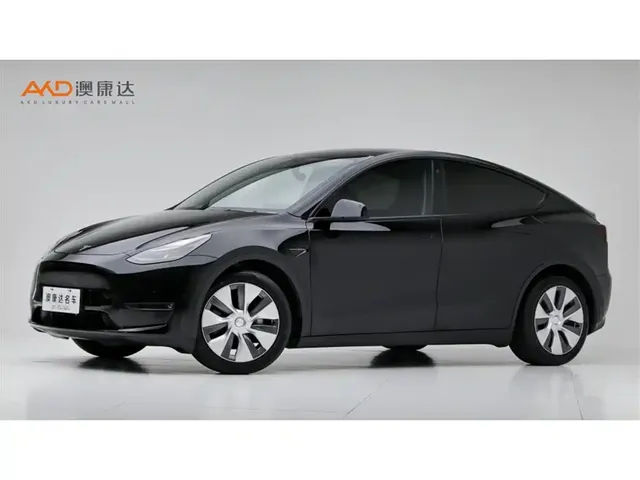 Tesla Model Y 2021 Standard Range Rear-Wheel Drive