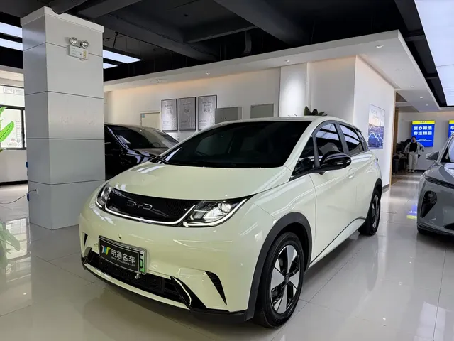 BYD Dolphin 2023 420km Freedom Edition