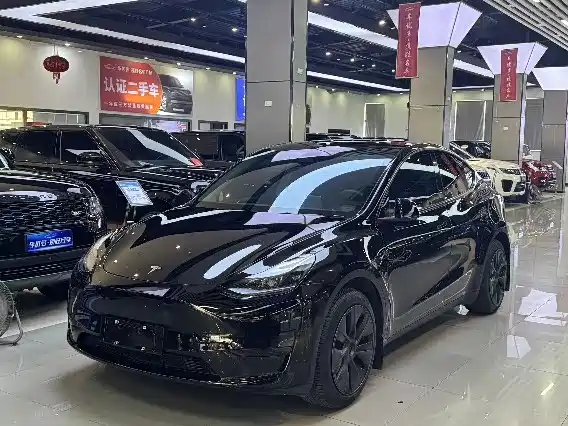 Tesla Model Y 2024 Rear-Wheel Drive Version