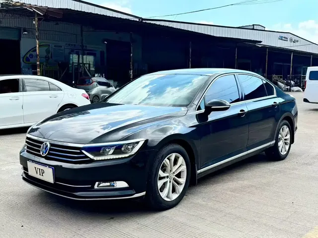 Volkswagen Magotan 2019 330TSI DSG Luxury Class China VI