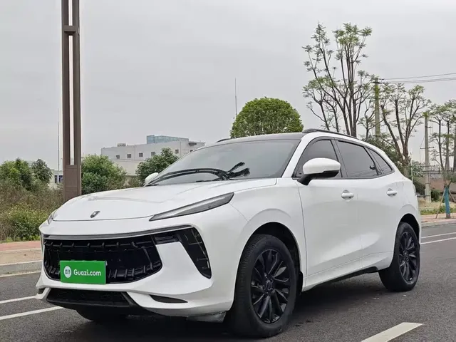 Dongfeng Fengxing T5 EVO 2021 1.5TD DCT Diamond Edition