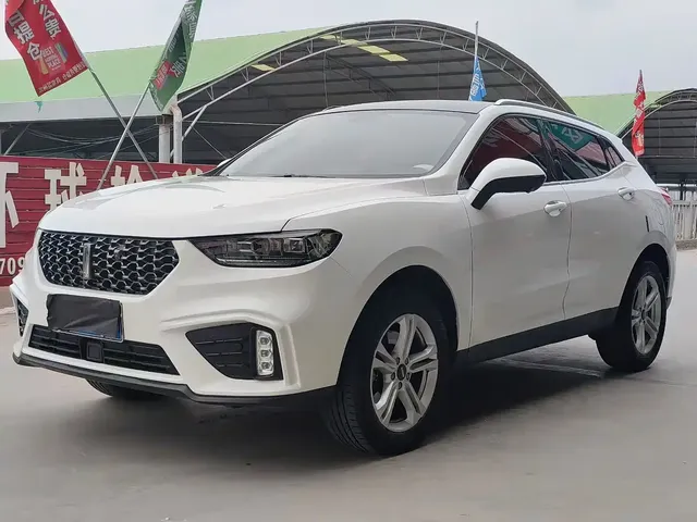 WEY VV5 2020 1.5T 2WD Style Pioneer