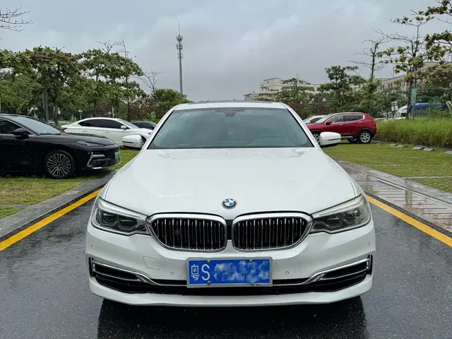 BMW 5 Series 2020 530Li Leading Luxury Package