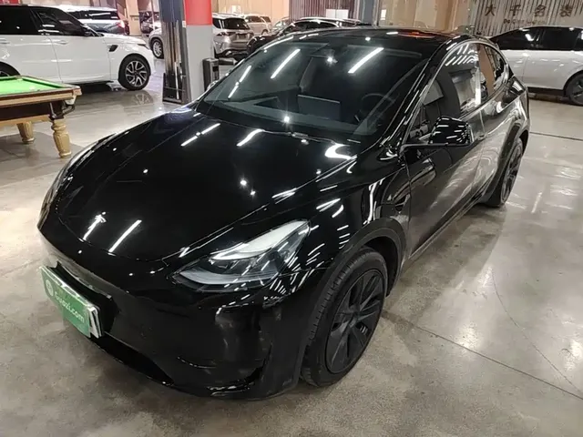 Tesla Model Y 2024 Rear-Wheel Drive Version