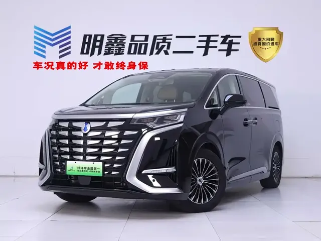 Denza D9 2024 DM-i 980 AWD Flagship