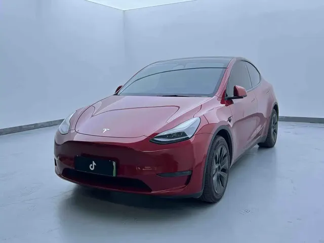 Tesla Model Y 2024 Rear-Wheel Drive Version