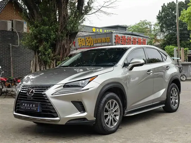 Lexus NX 2018 Model 200 FWD Fengxing Edition China V