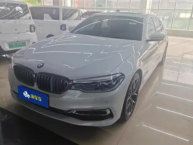BMW 5 Series New Energy 2020 530Le Range Upgrade Luxury Package