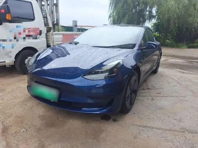 Tesla Model 3 2021 Standard Range Rear-Wheel Drive Upgrade 3D6