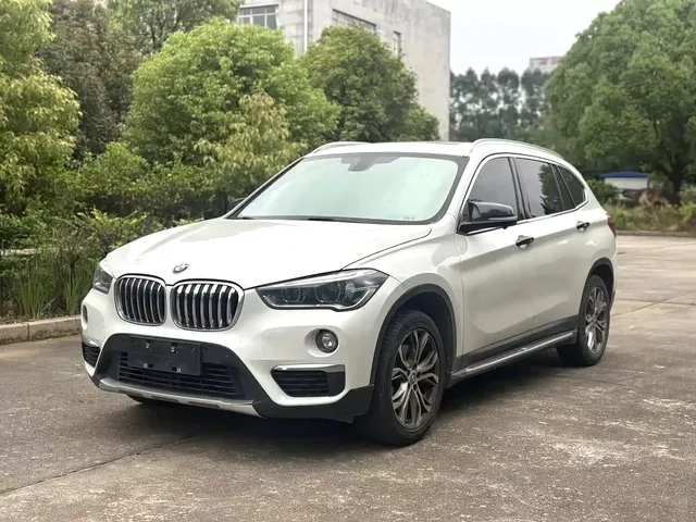 BMW X1 2019 sDrive20Li Leading Model