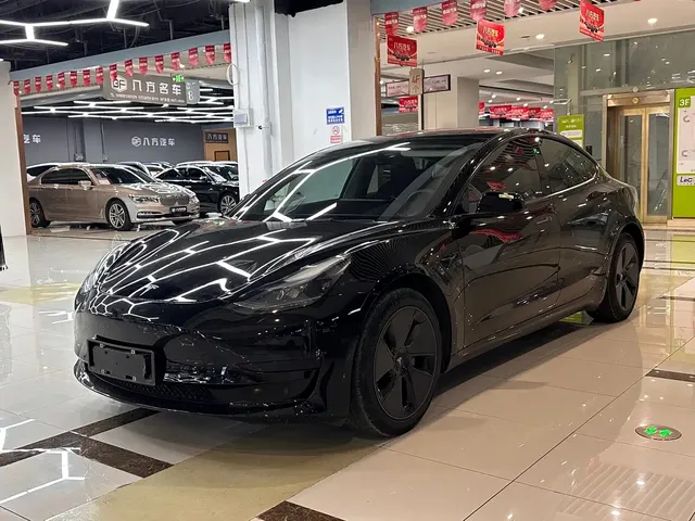 Tesla Model 3 2022 Model Rear-Wheel Drive Version