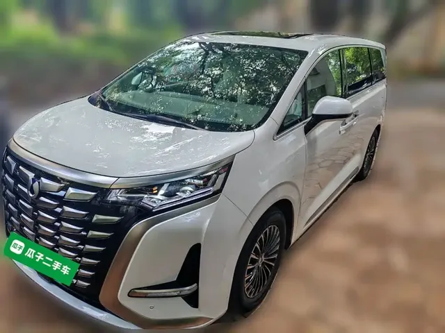 Denza D9 2022 DM-i 970 All-Wheel Drive Honor Edition