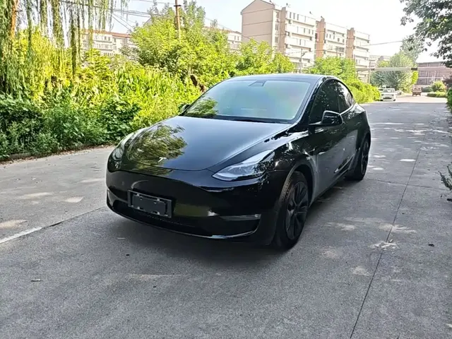Tesla Model Y 2021 Standard Range Rear-Wheel Drive