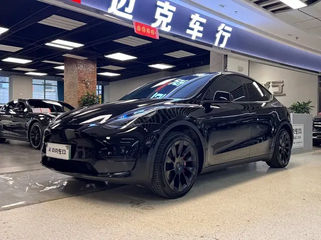 Tesla Model Y 2023 Rear-Wheel Drive Edition