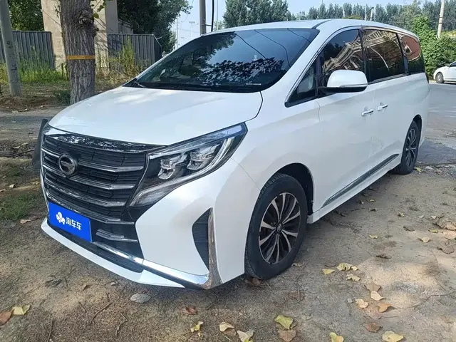 GAC Trumpchi M8 2021 Leading Show Series 390T Premium Edition