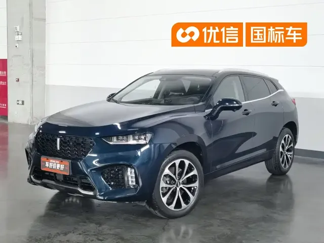 WEY VV7 2019 Upgrade 2.0T Super Deluxe China V