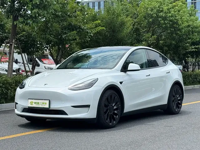Tesla Model Y 2022 Performance High-Performance All-Wheel Drive Version