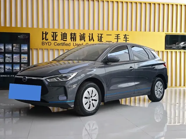 BYD e2 2021 Comfort Model
