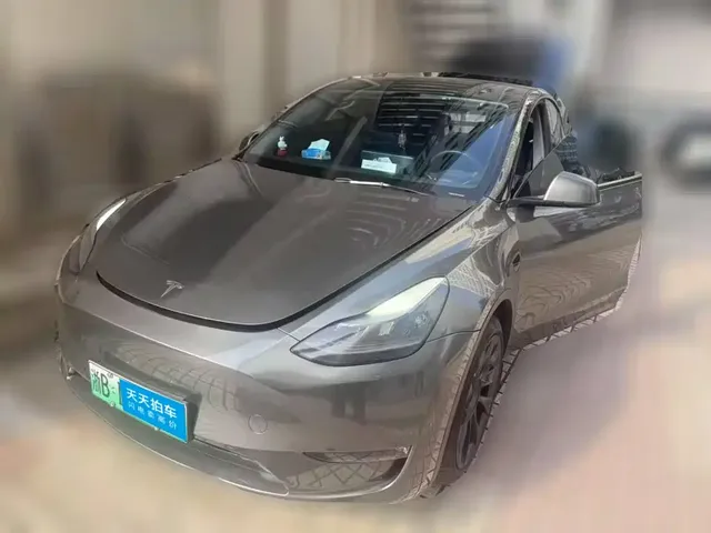 Tesla Model Y 2021 Standard Range Rear-Wheel Drive