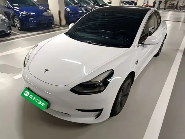 Tesla Model 3 2020 Facelift Standard Range RWD Upgrade