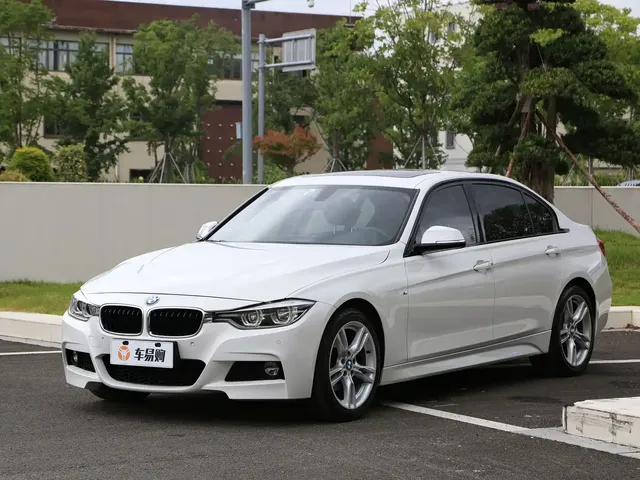 BMW 3 Series 2019 320Li M Sport Package