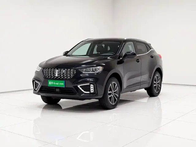 WEY VV5 2021 1.5T 2WD Smart Pioneer