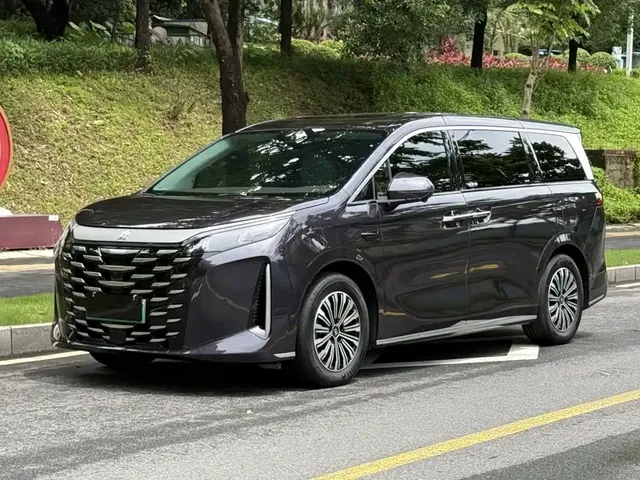 BYD Xia 2025 DM-i 1.5T 100km Surpass Edition