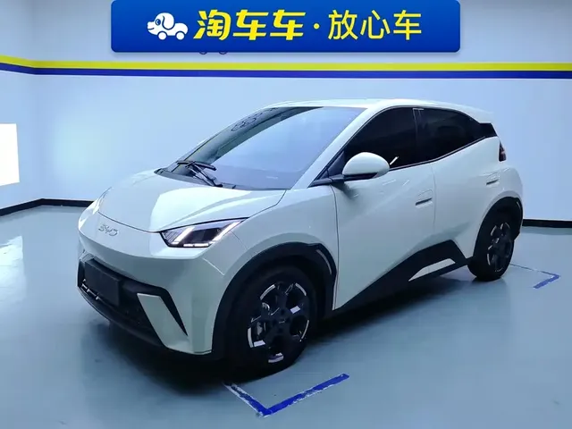 BYD Seagull 2024 Glory Edition 305km Vitality Edition