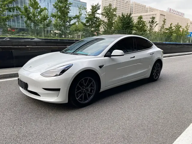 Tesla Model 3 2022 Model Rear-Wheel Drive Version