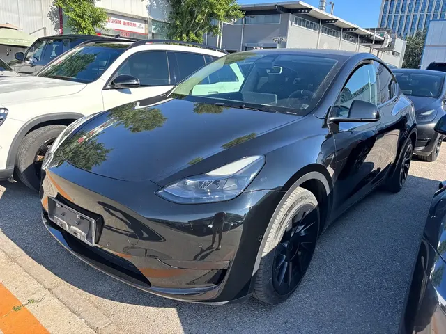 Tesla Model Y 2022 Rear-Wheel Drive Version
