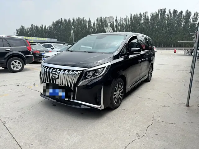 GAC Trumpchi M8 2021 Leading Show Series 390T Prestige Edition