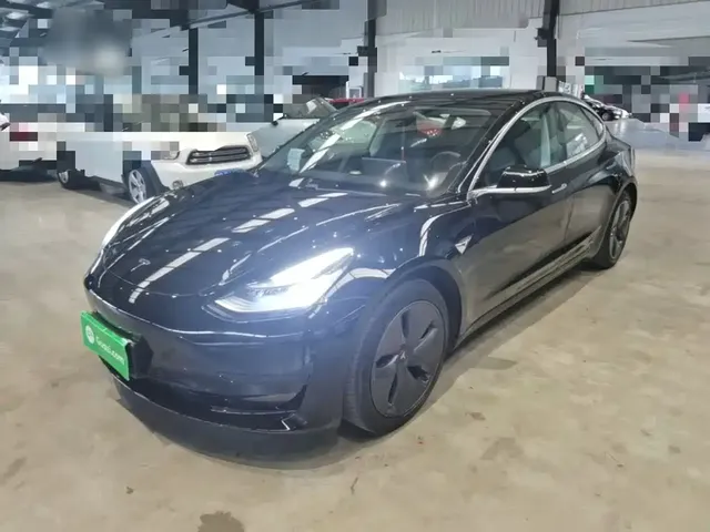 Tesla Model 3 2020 Facelift Standard Range RWD Upgrade