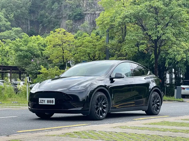 Tesla Model Y 2022 Rear-Wheel Drive Version