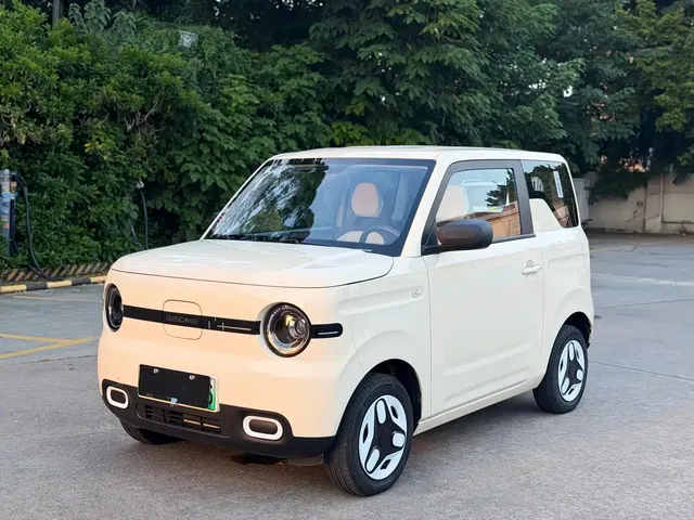 Geely Galaxy Panda 2025 Panda mini 210km Vitality Bear