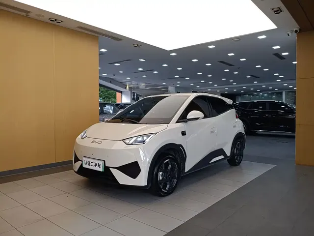 BYD Seagull 2025 Smart Driving Edition 405km Flying Edition