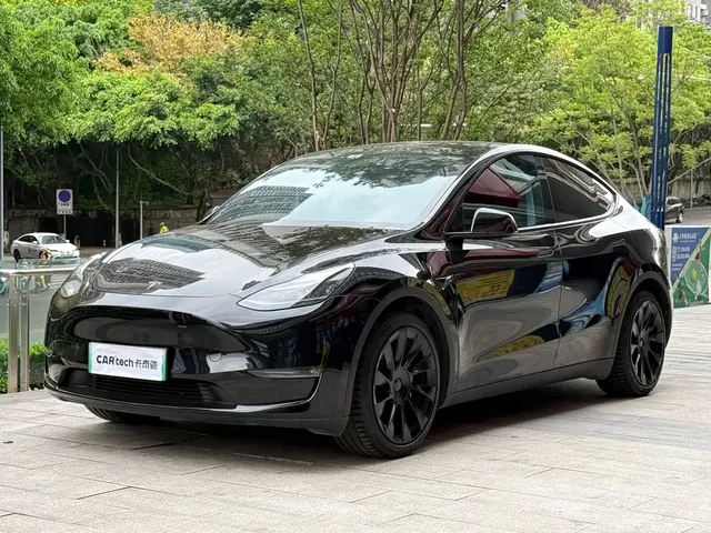 Tesla Model Y 2021 Standard Range Rear-Wheel Drive