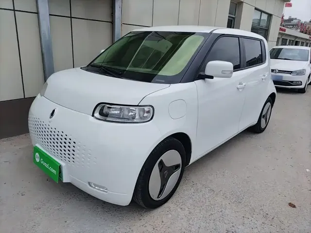 Ora White Cat 2020 360km Luxury Model