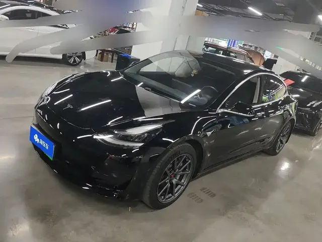 Tesla Model 3 2021 Standard Range Rear-Wheel Drive Upgrade