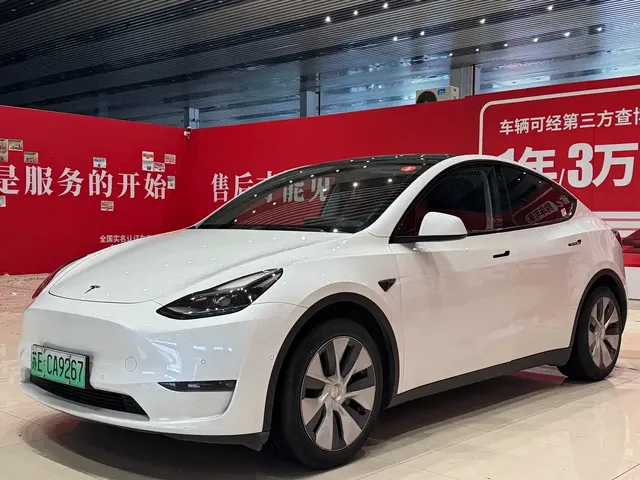 Tesla Model Y 2021 Standard Range Rear-Wheel Drive