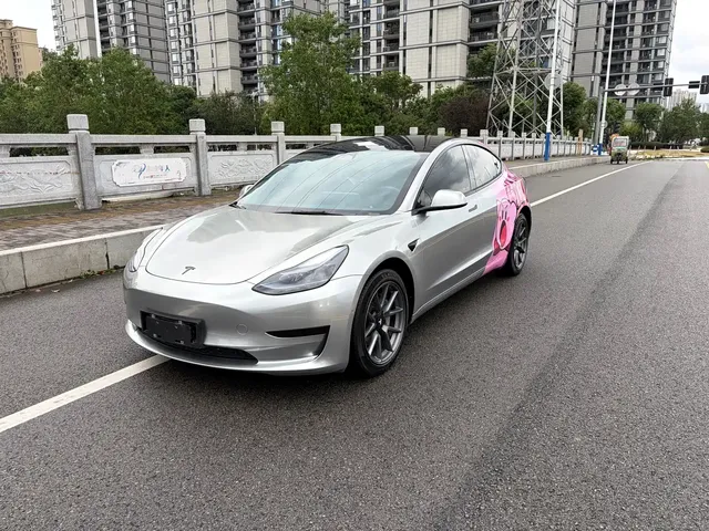 Tesla Model 3 2022 Model Rear-Wheel Drive Version