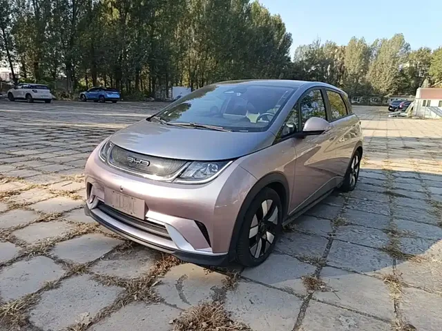 BYD Dolphin 2021 401km Knight Edition