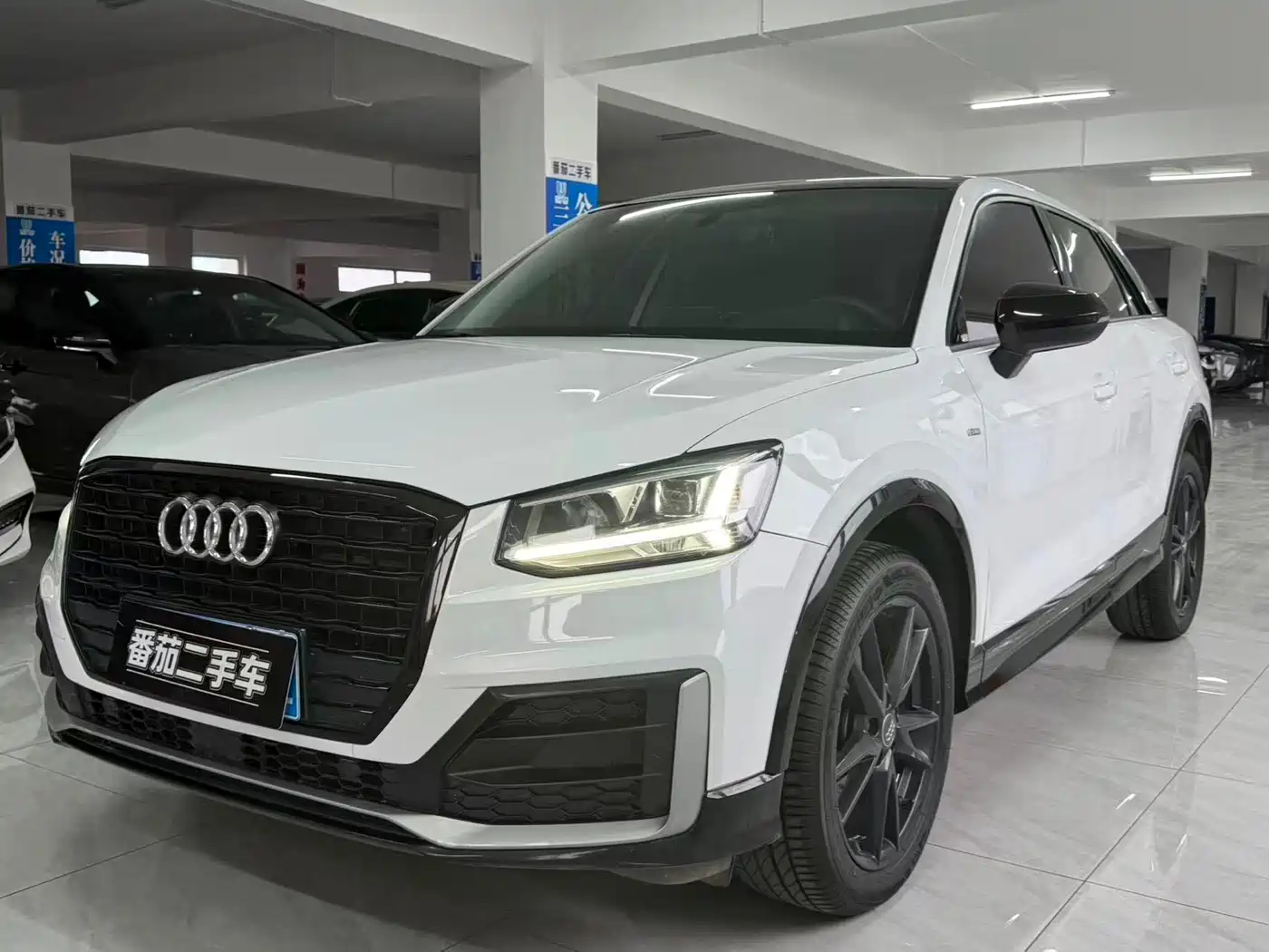 Audi Q2L 2020 35 TFSI Progressive Dynamic Model