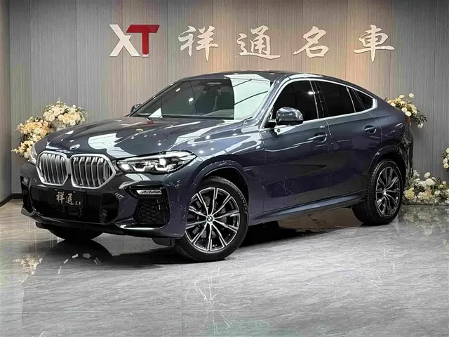BMW X6 2021 xDrive30i M Sport Package
