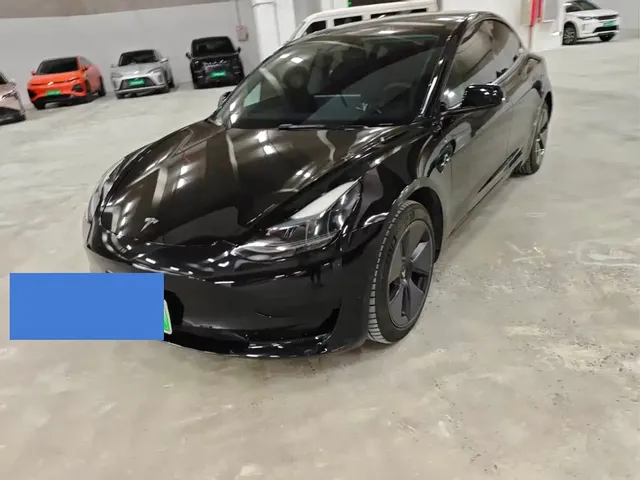 Tesla Model 3 2022 Model Rear-Wheel Drive Version