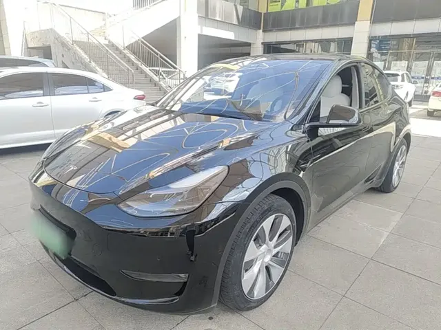 Tesla Model Y 2021 Standard Range Rear-Wheel Drive