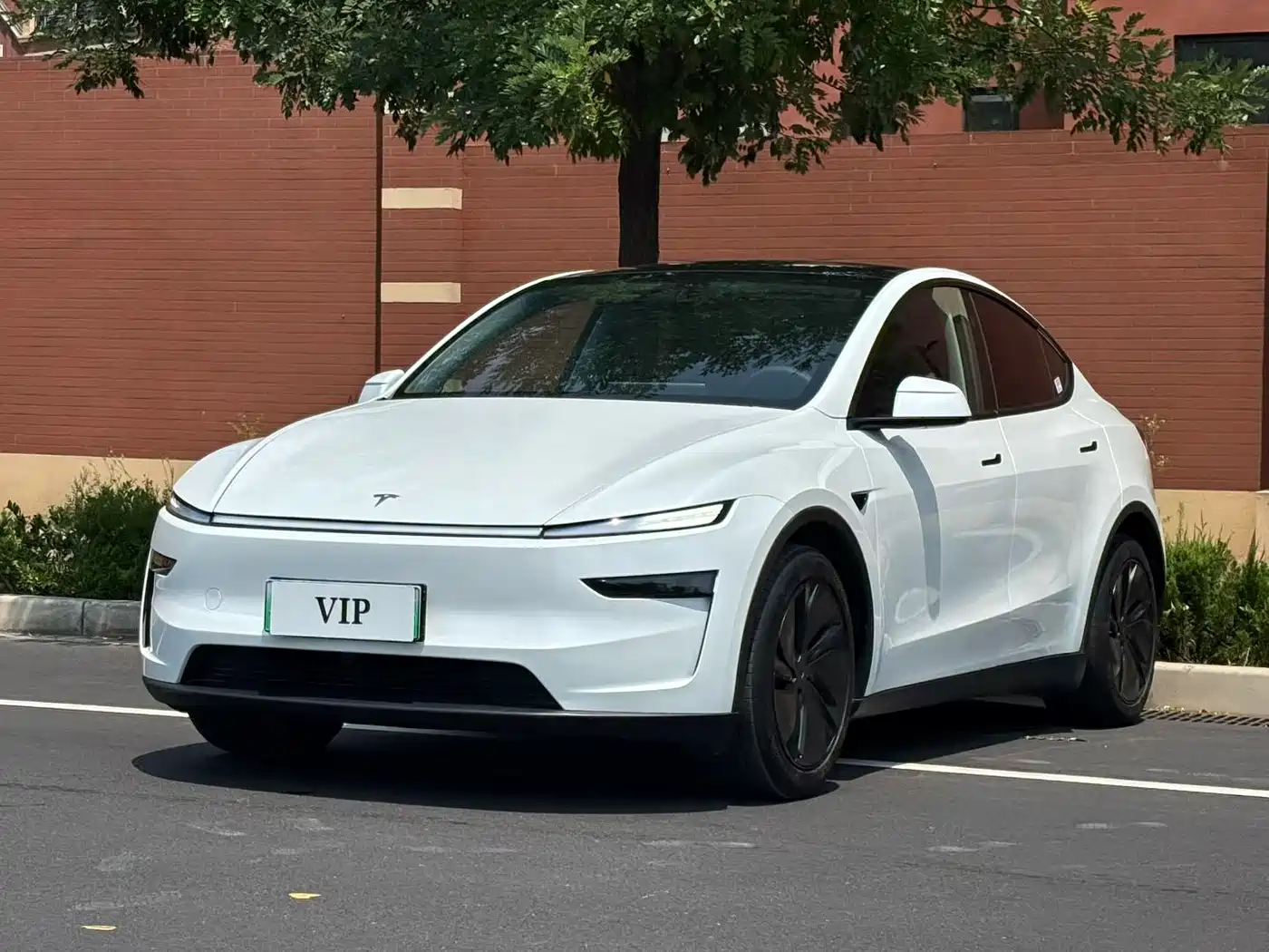 Tesla Model Y 2024 Rear-Wheel Drive Version